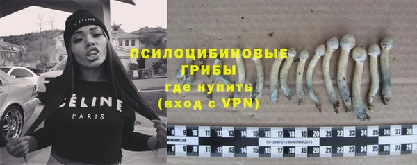 ПСИЛОЦИБИНОВЫЕ ГРИБЫ Арсеньев