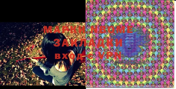 PSILOCYBIN Аркадак