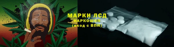 PSILOCYBIN Аркадак