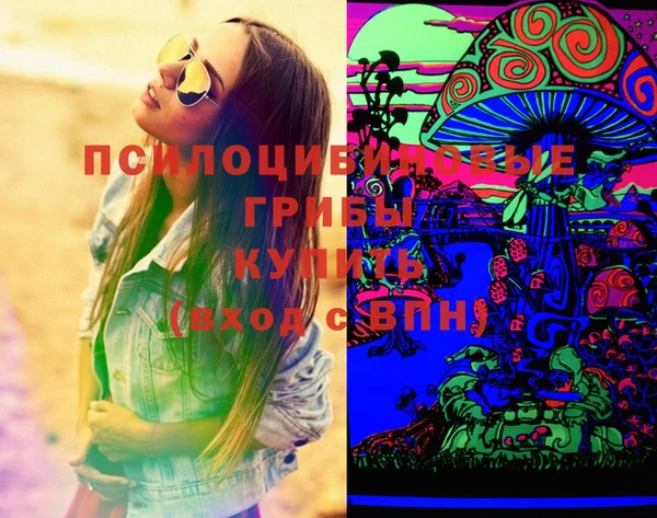 PSILOCYBIN Аркадак